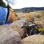 Готель Freiheim 3*