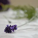 Freiheim Готель 3*