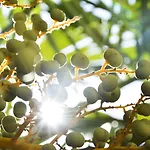 Freiheim Szálloda Merano