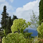 Freiheim 3*