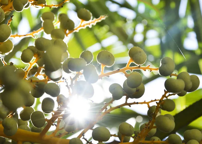 Freiheim Otel Merano